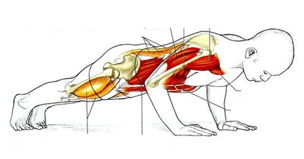 flexiones para bajar de peso